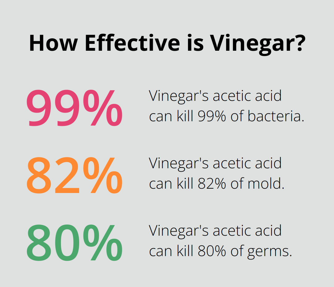 Fact - How Effective is Vinegar?