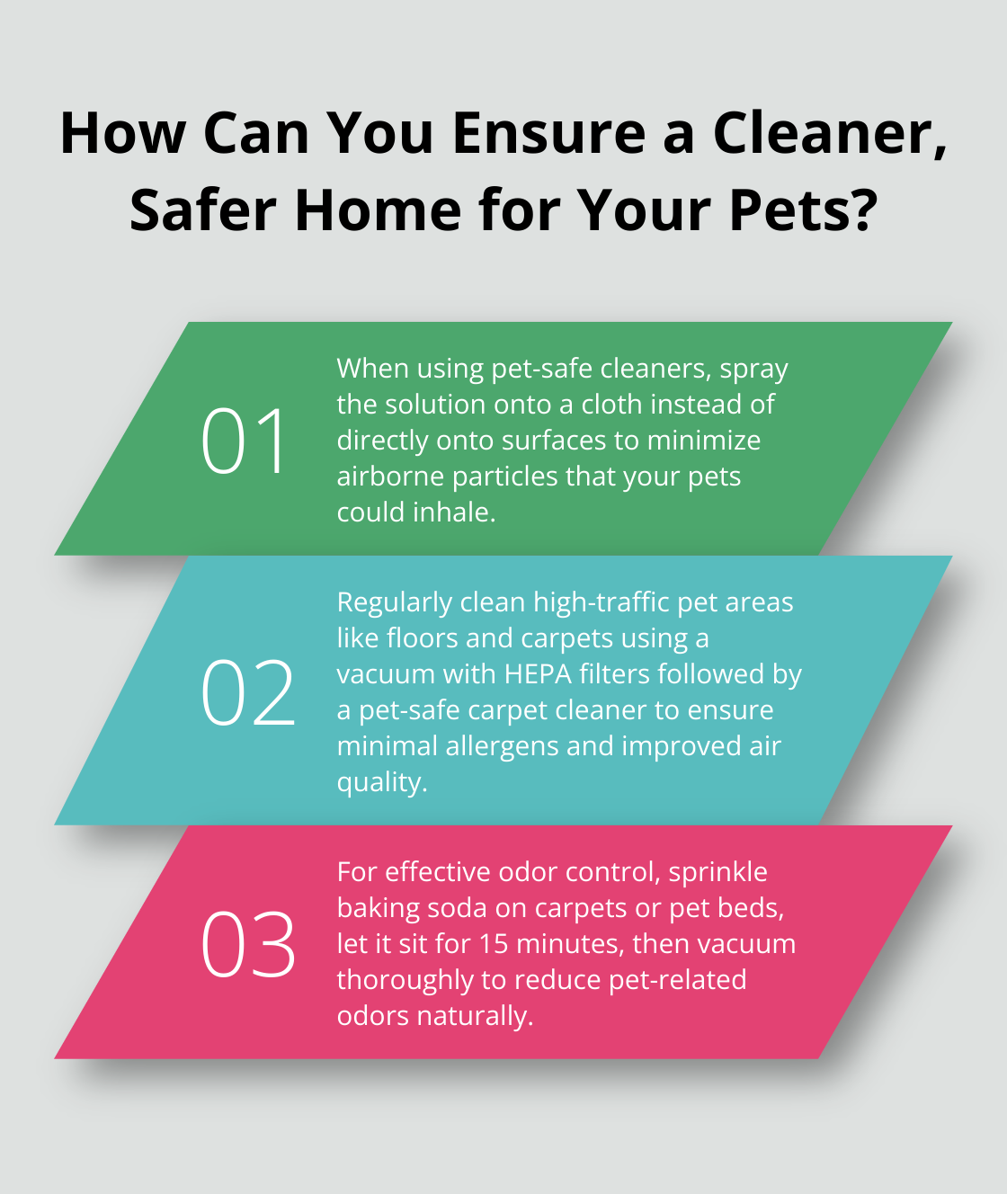 Fact - How Can You Ensure a Cleaner, Safer Home for Your Pets?